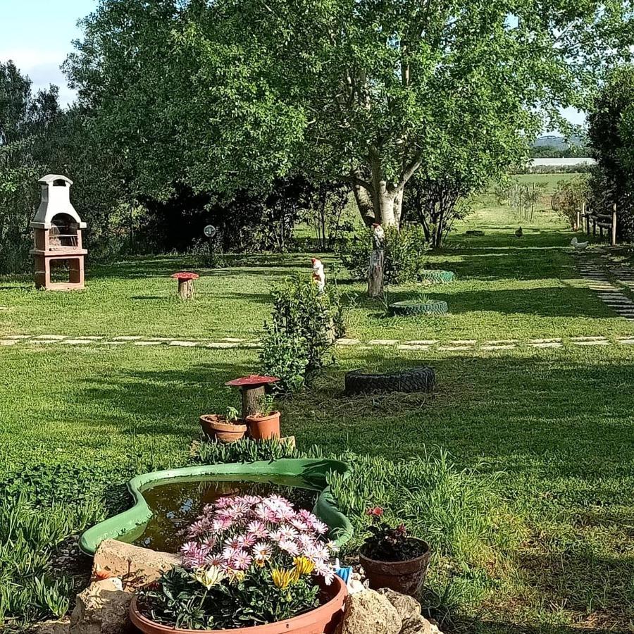 Agriturismo Il Cipresso Vada Extérieur photo