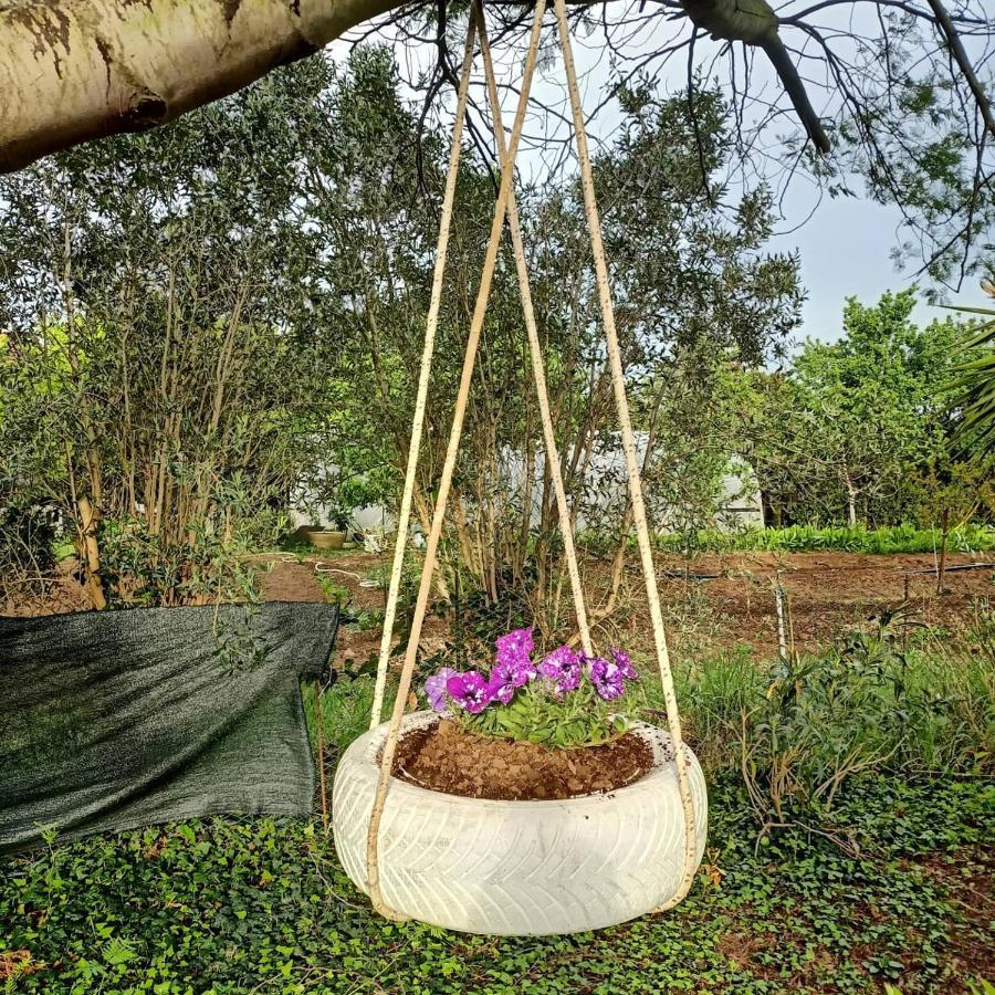 Agriturismo Il Cipresso Vada Extérieur photo