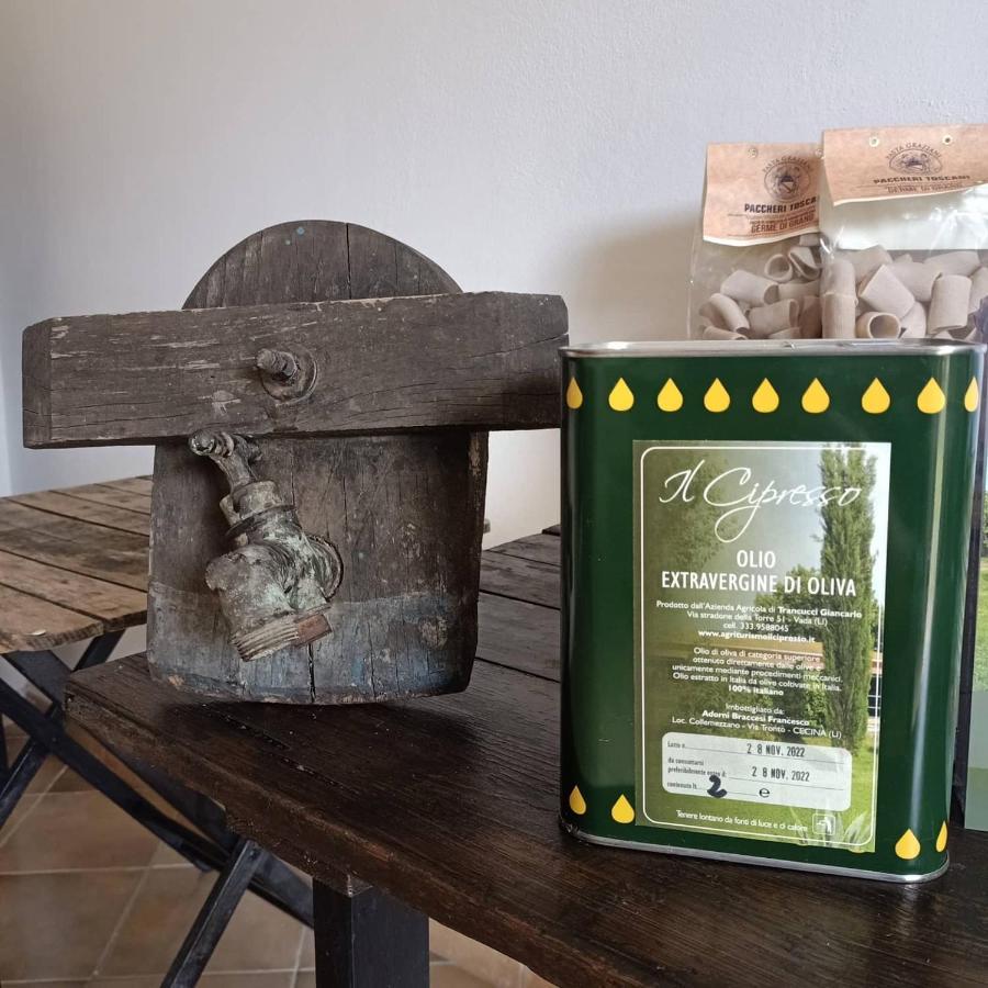 Agriturismo Il Cipresso Vada Extérieur photo