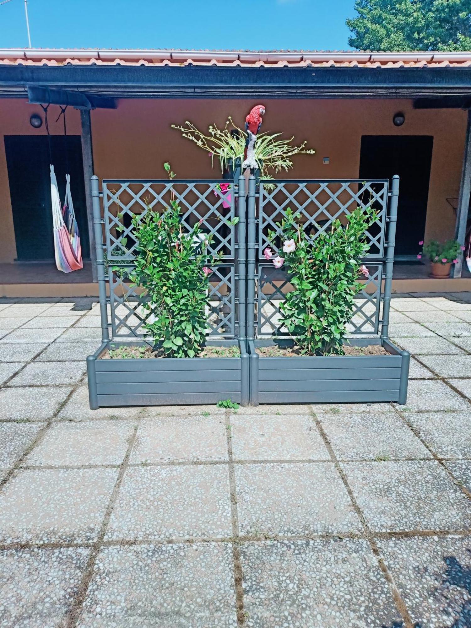 Agriturismo Il Cipresso Vada Extérieur photo