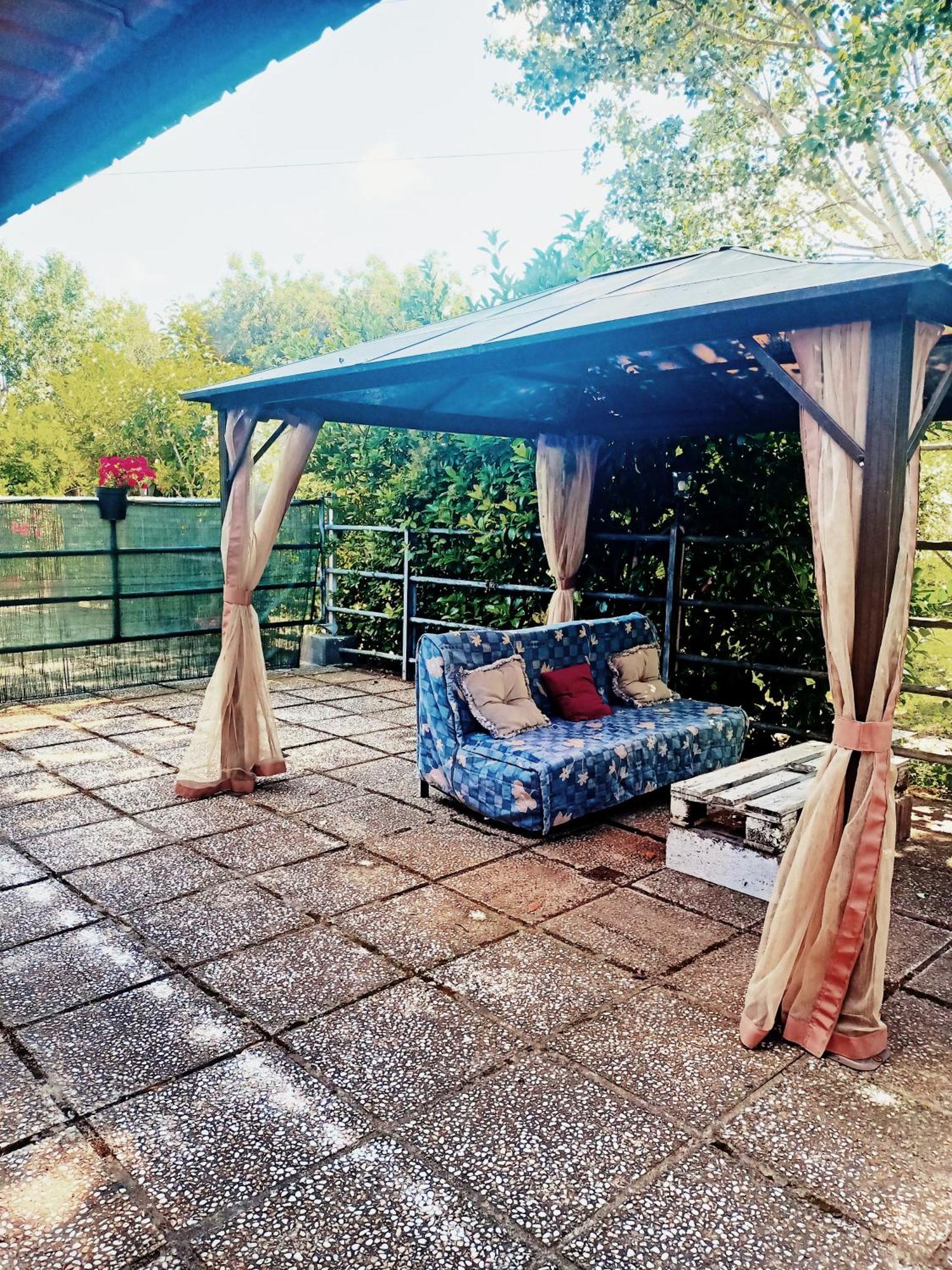 Agriturismo Il Cipresso Vada Extérieur photo