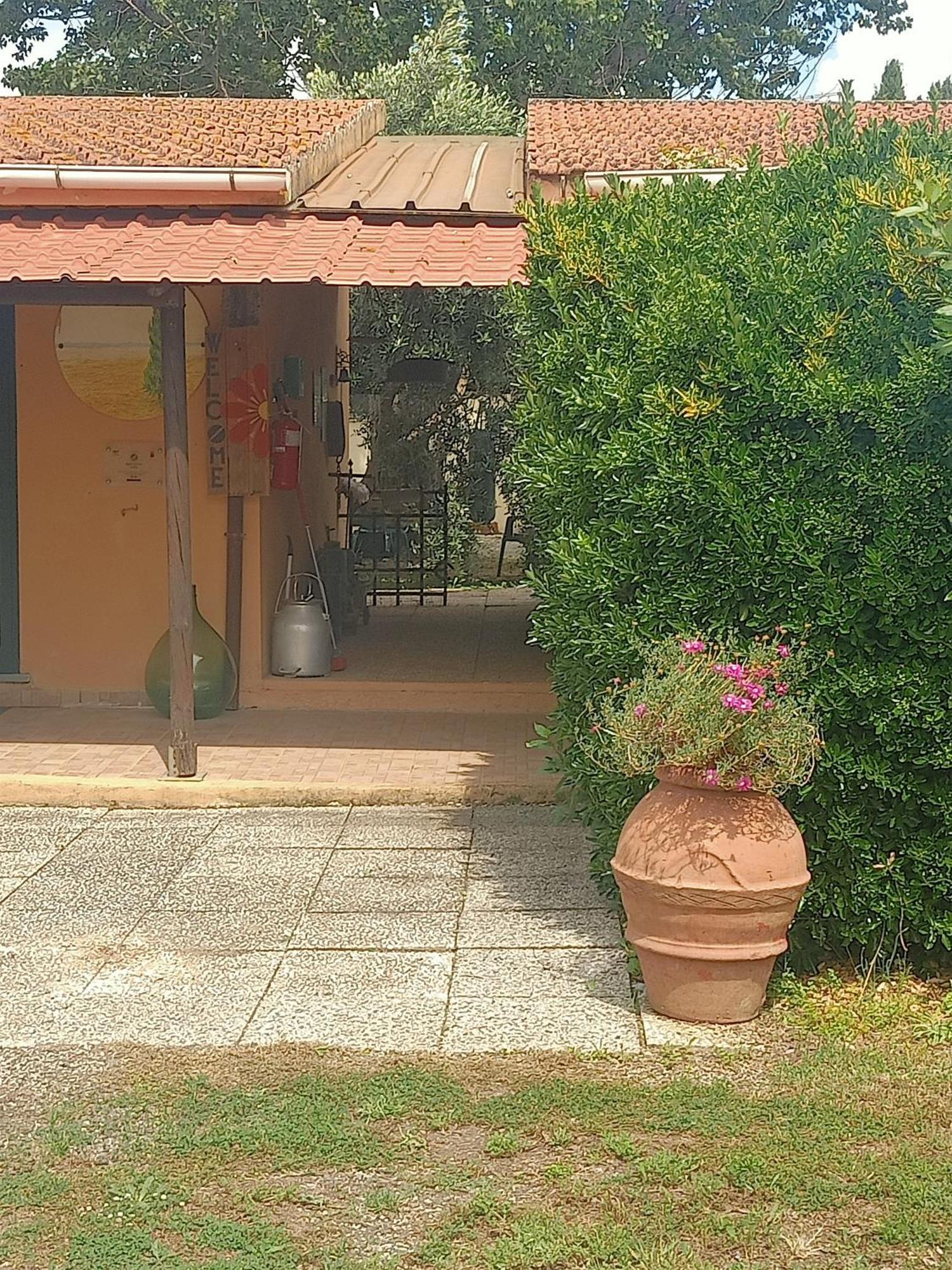 Agriturismo Il Cipresso Vada Extérieur photo