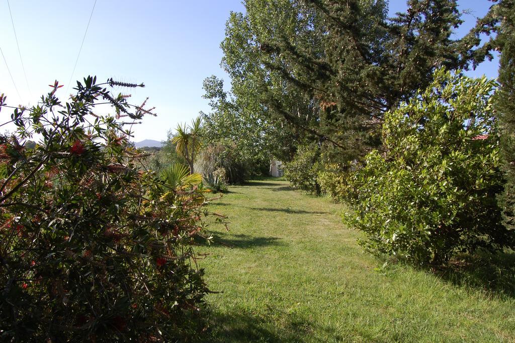 Agriturismo Il Cipresso Vada Extérieur photo